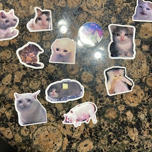 Denise added a photo of their purchase