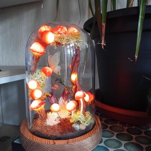Lucille added a photo of their purchase