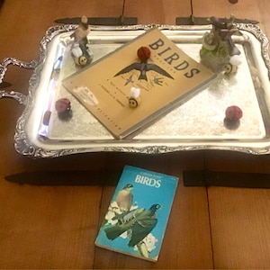 Janet added a photo of their purchase