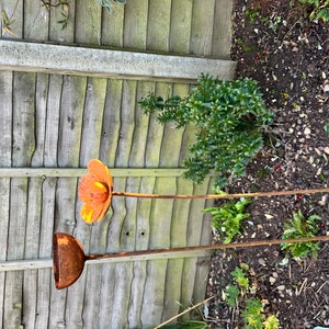Pamela added a photo of their purchase