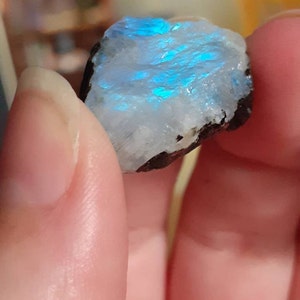 Britney ha añadido una foto de su compra