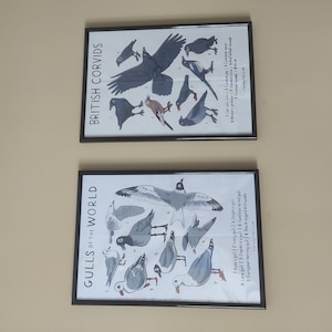 A. added a photo of their purchase
