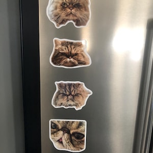 Kara hat ein Foto des gekauften Artikels hinzugefügt