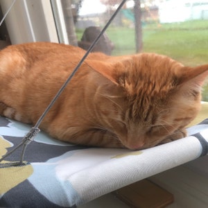 Lorrie added a photo of their purchase