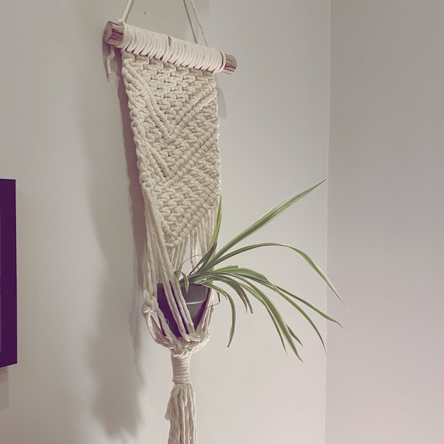 DIY Macrame Plant Hanger Kit – The Knottery