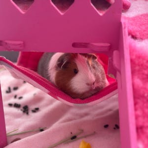 Isabelle ha añadido una foto de su compra
