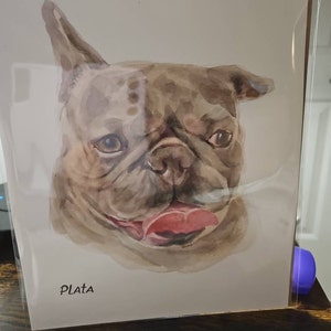 Colleen heeft een foto van de aankoop toegevoegd