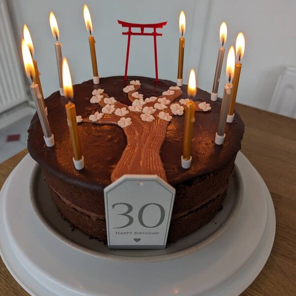 Asian Inspired Shibari Harness Robe Jacket • Backless Kimono • Chinese ...