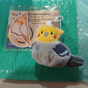 Lucius added a photo of their purchase