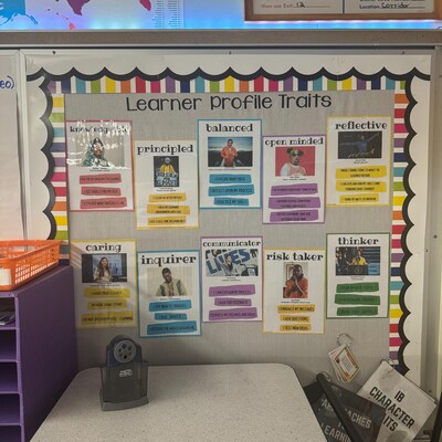 PYP MYP Learner Profile in PE Posters and Bunting - Etsy