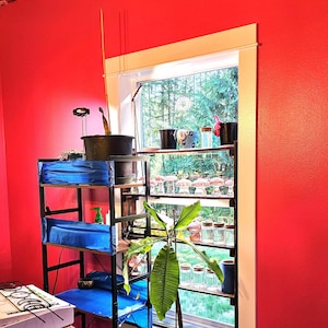Jane added a photo of their purchase