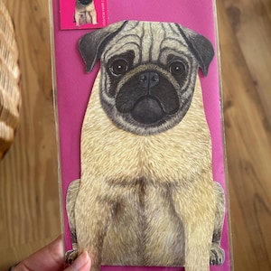 Felicitas a ajouté une photo de son achat