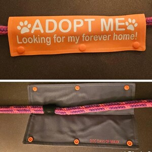 Becca added a photo of their purchase