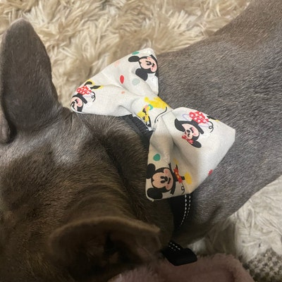 Pet Necktie Tutorial and Patterns / Dog Neck Tie for Wedding / - Etsy