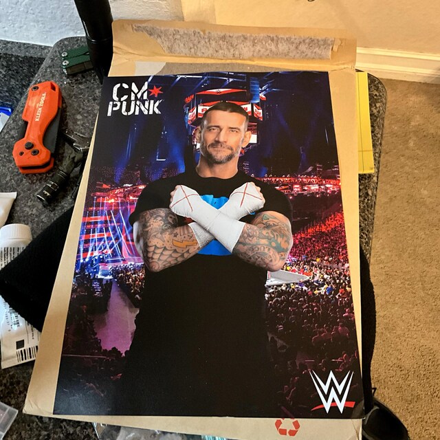 WWE プリント - CM パンク 群衆ポスター レスリング ウォールアート