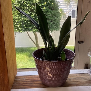 Karen added a photo of their purchase