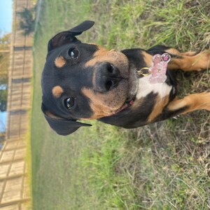 chloe ha añadido una foto de su compra