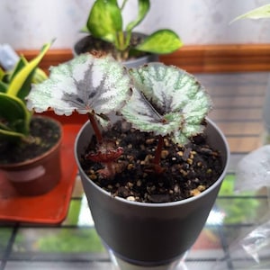 Sherry added a photo of their purchase