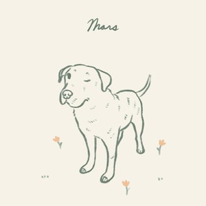 Cute Custom Dog Portrait with Flowers, Digital Pet Illustration, Minimal Dog Drawing, Unique Hand Drawn Pet Commission, Dog Memorial Gift