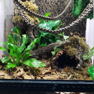 Mandy added a photo of their purchase
