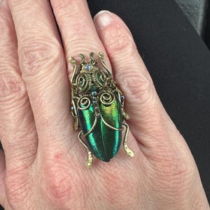 Ashley added a photo of their purchase