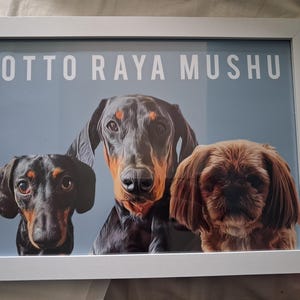 Louise added a photo of their purchase