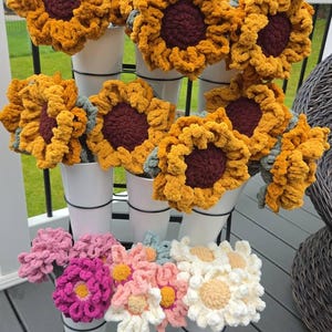 amy added a photo of their purchase