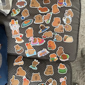 CC added a photo of their purchase