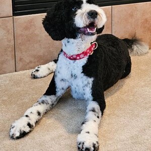 Patricia Bauer added a photo of their purchase