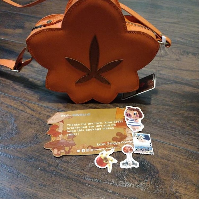 Pre-order, Maple Leaf Pochette Bag Shoulder Bag Animal Crossing New  Horizons ACNH Nintendo Switch Autumn Gift