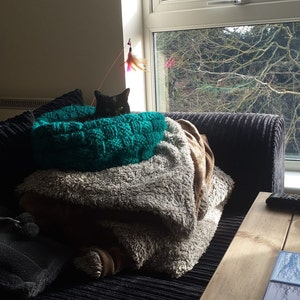 Marie added a photo of their purchase