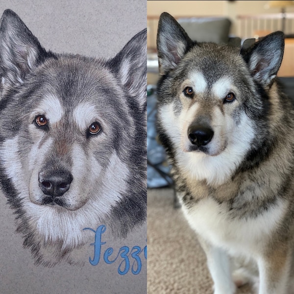 Custom Pet Portrait - Hand Drawn Colored Pencil Fine Art Dog Cat Animal ...