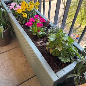 Lee added a photo of their purchase