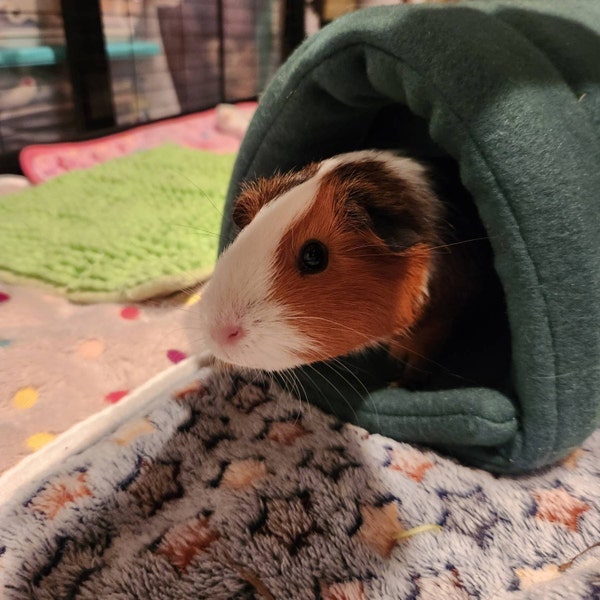Photo inspiration: Visual Reference: Guinea Pig Fleece Tunnel Guinea Pig Bed Guinea Pig Sleep