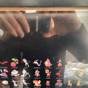 Paul adicionaram uma foto da sua compra