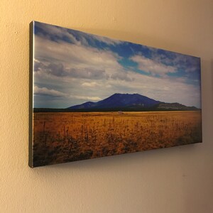 Patrick added a photo of their purchase