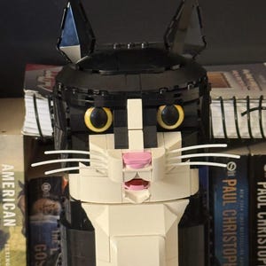 LEGO 21349 タキシードキャット用ひげ | 完璧なアクセサリー! - Etsy 日本