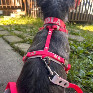 Lilly added a photo of their purchase