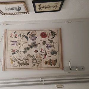 vasseuring a ajouté une photo de son achat