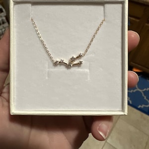 Brooke added a photo of their purchase