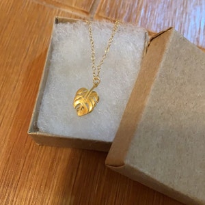 Avi added a photo of their purchase