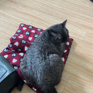 Marshmallow heeft een foto van de aankoop toegevoegd