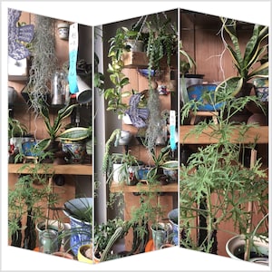 Anna added a photo of their purchase