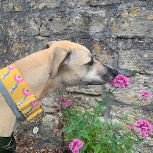 Angel added a photo of their purchase