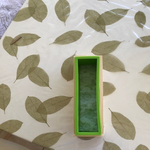 Stella ha aggiunto una foto del proprio acquisto