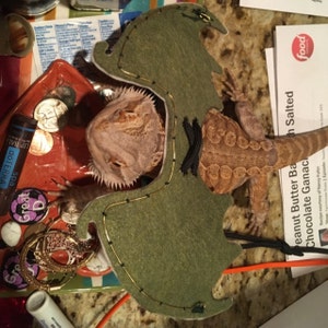 Nora added a photo of their purchase