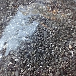 Kirsten added a photo of their purchase