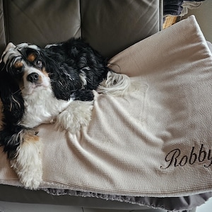 Tanja added a photo of their purchase