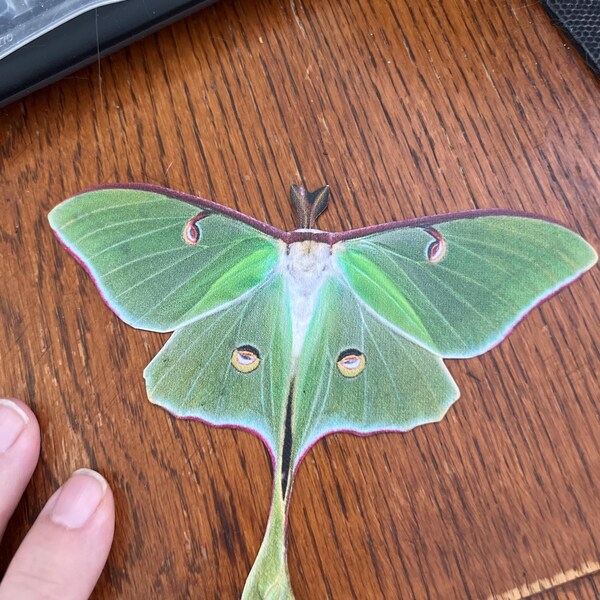 ONE Large Monarch Butterfly Migration Stickers - Wall Art Decor -for ...