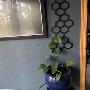 Olivia added a photo of their purchase